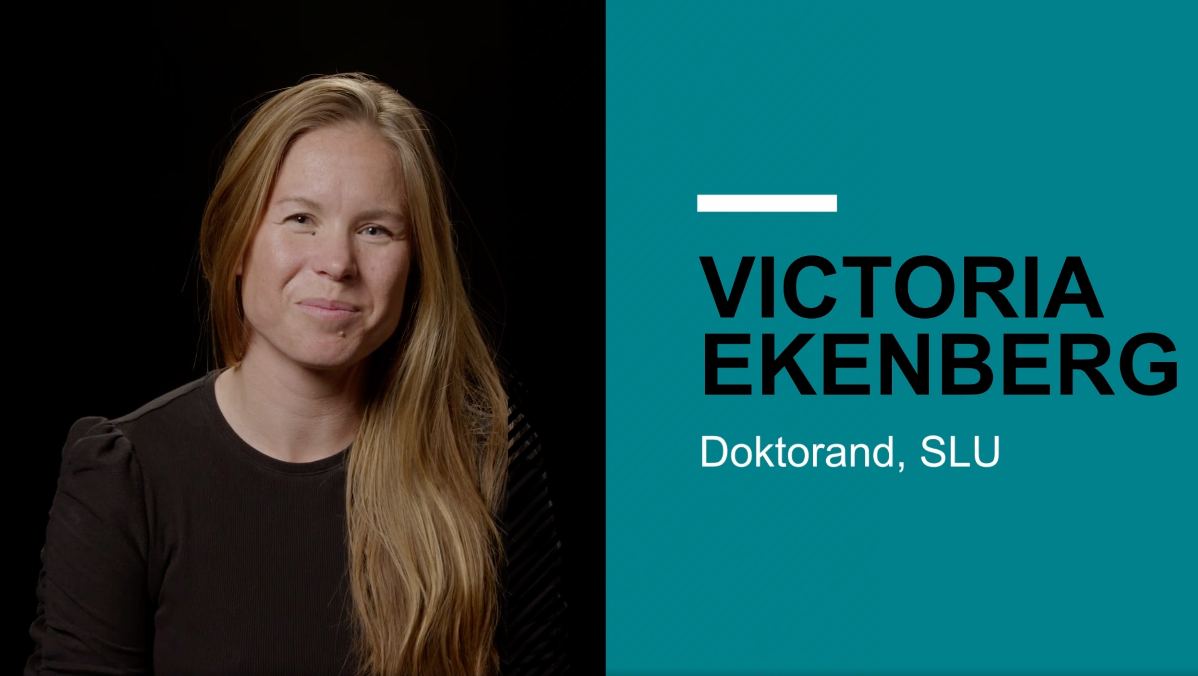 Victoria Ekenberg
