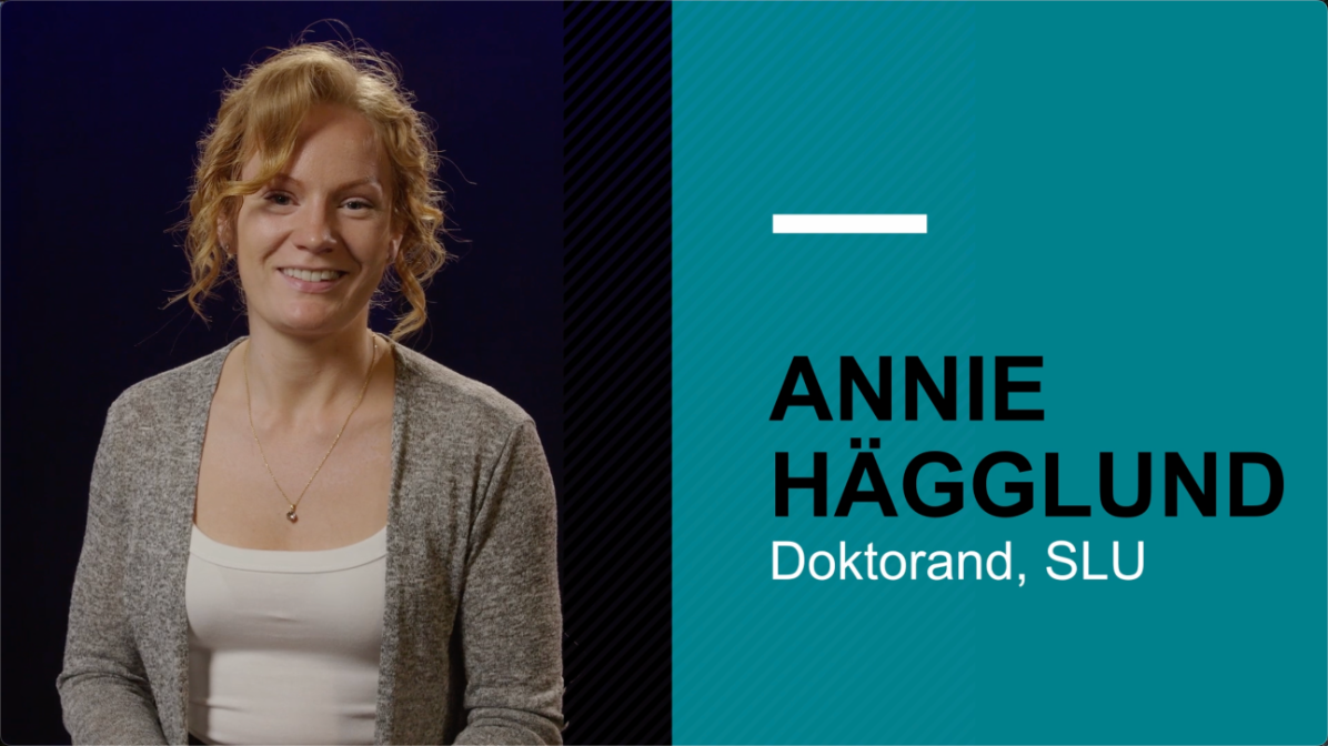 Annie Hägglund