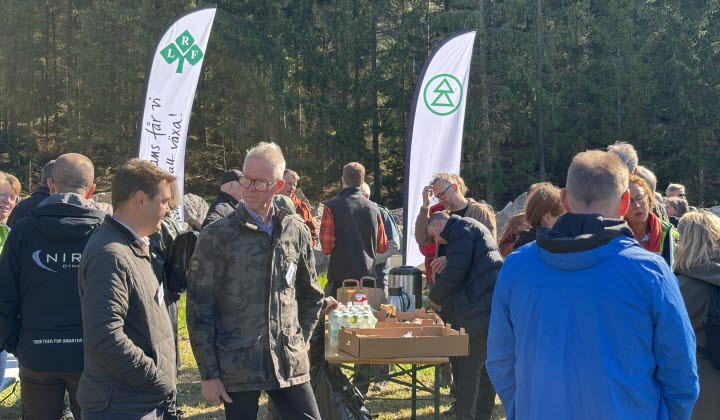 Personer på träff i skogen